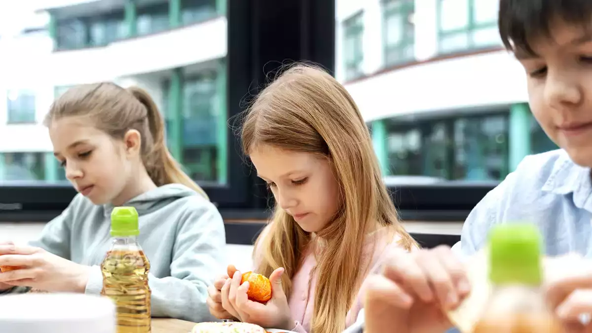 Az iskolai étlapok legnépszerűbb halát mérgezés miatt betiltották Franciaországban