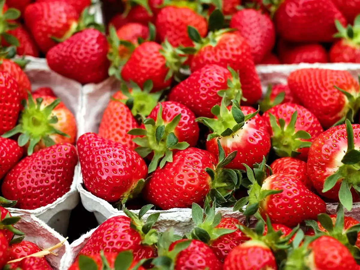 Így tovább tarthatod meg az epret!