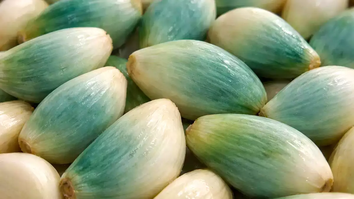 Zöld vagy kék fokhagyma a konyhában? Sokan kidobják anélkül, hogy tudnák, mit is jelent ez valójában.