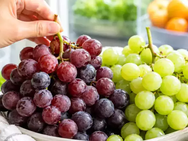 Hogyan válasszuk ki az édes asztali szőlőt, és hogyan tartsuk meg hosszabb ideig: egy egyszerű trükk az otthoni tároláshoz