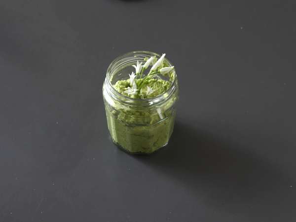 Medve fokhagymás pesto, illatos és szuper finom! - Előkészítés lépés 4